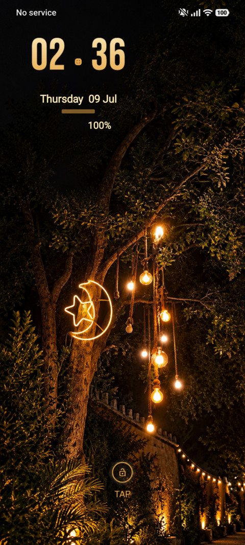 Moonlit Garden screenshot