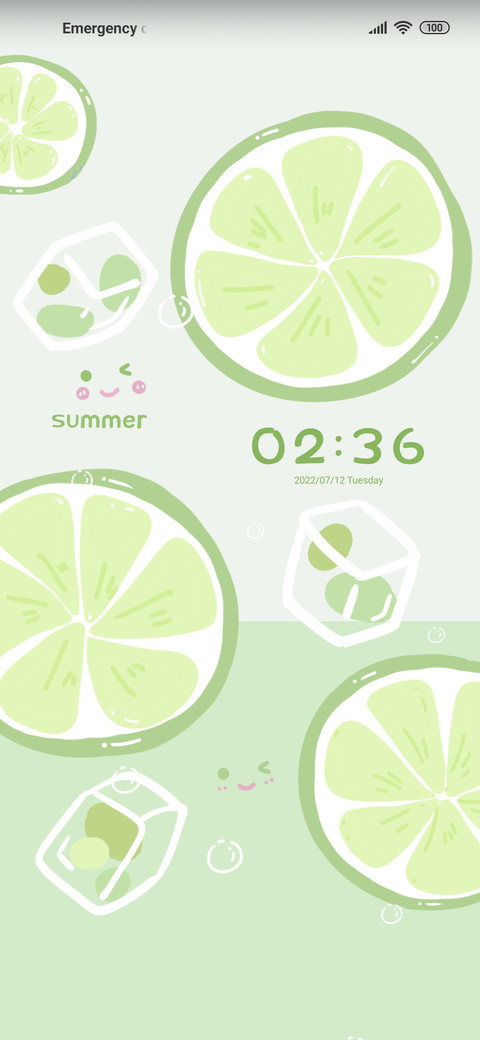 lemon screenshot