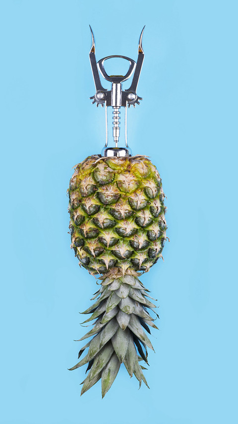 Creative Pineapple-PAIXIN screenshot