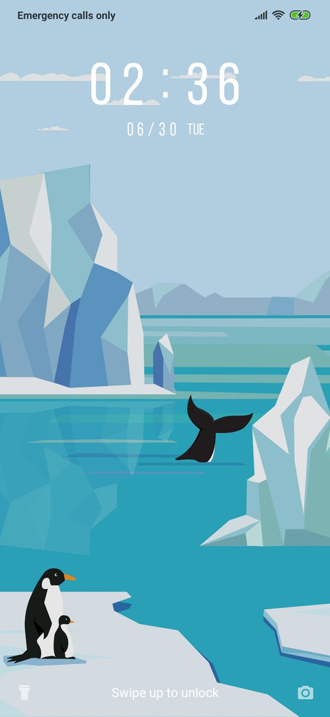 Penguin Illustration_3MDS screenshot