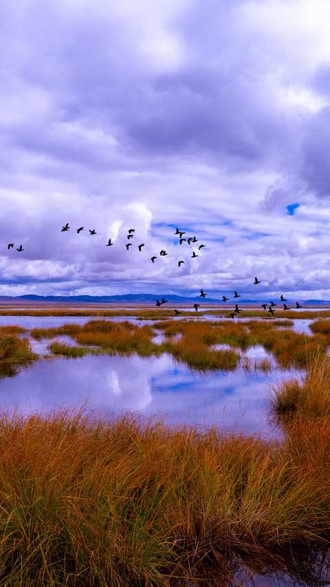 Huahu wetland screenshot