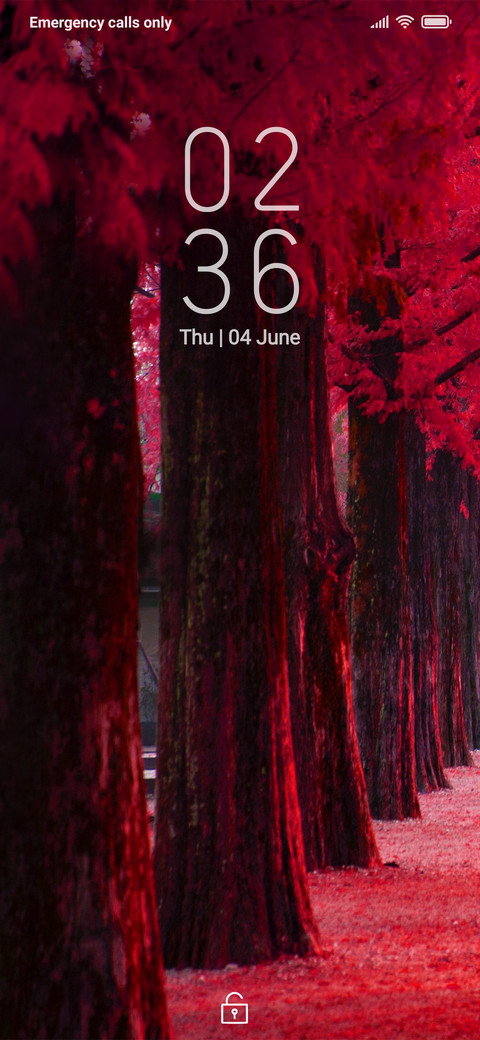 Autumn_DWM2 screenshot