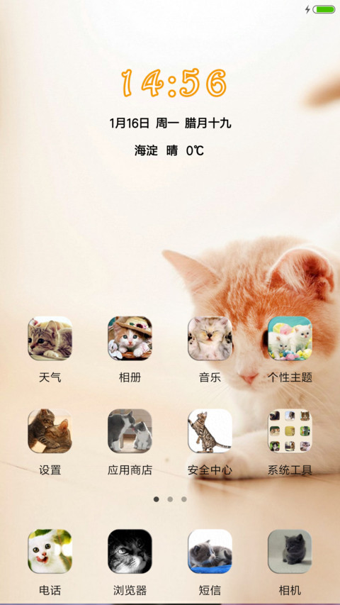 瞧，这萌猫 screenshot