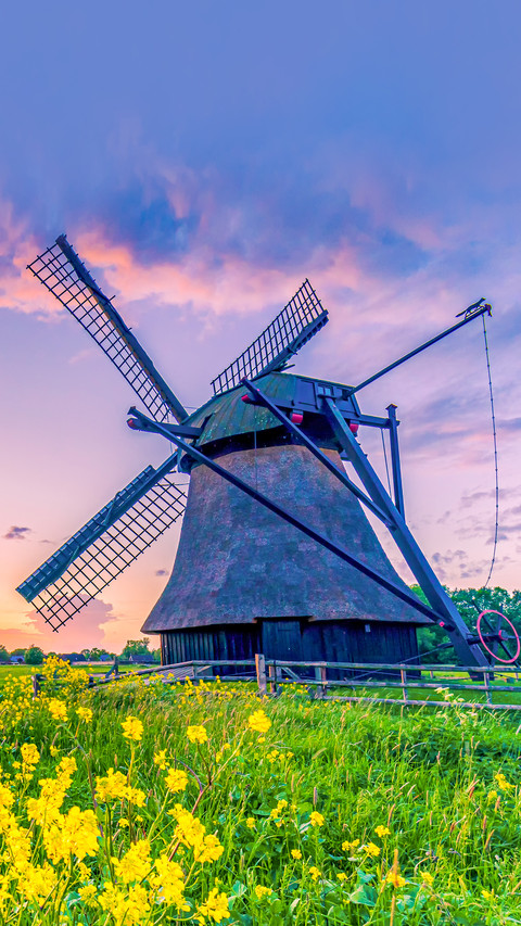 Water scoop mill in east friesland north germany screenshot