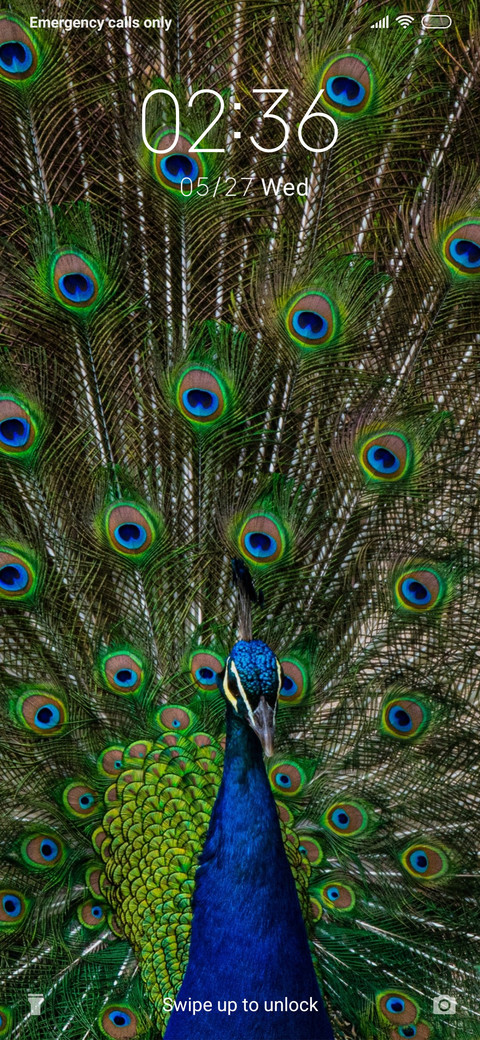 Peacock_3MDS screenshot