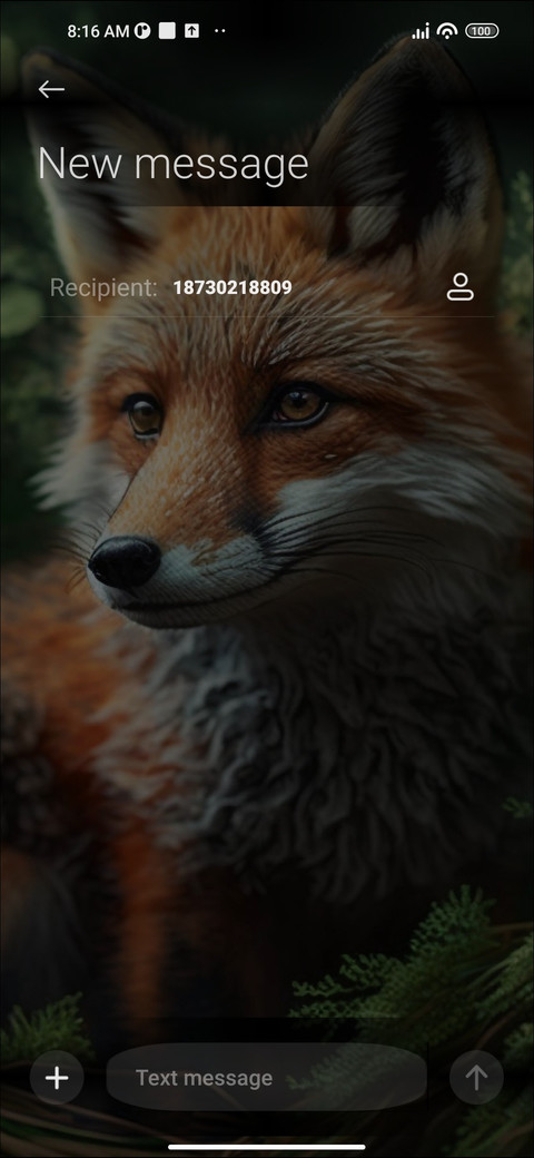 Foxy Grove screenshot