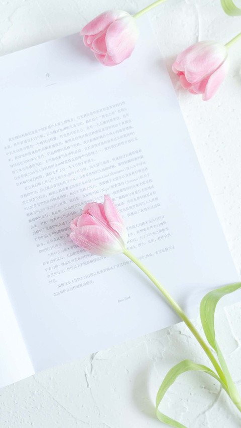 Flower (3) screenshot