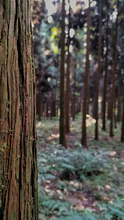 13 screenshot