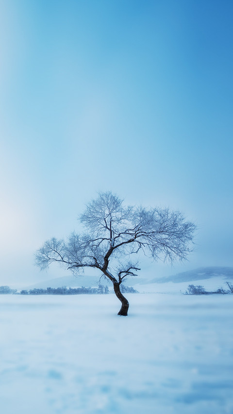 Cold knowledge about snow screenshot