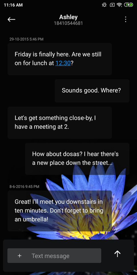 Flower_DWM19 screenshot