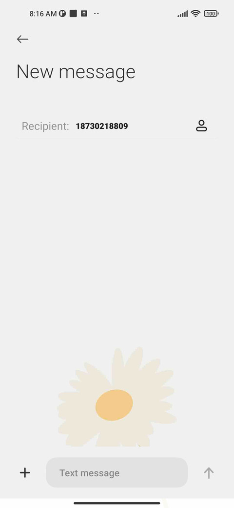 Sunny floret screenshot