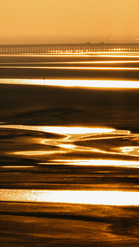Capture the gilded tidal flats in the frame 2 screenshot