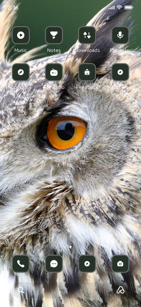 Owl screenshot