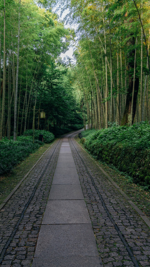 Yunqi bamboo path and secluded stone road screenshot
