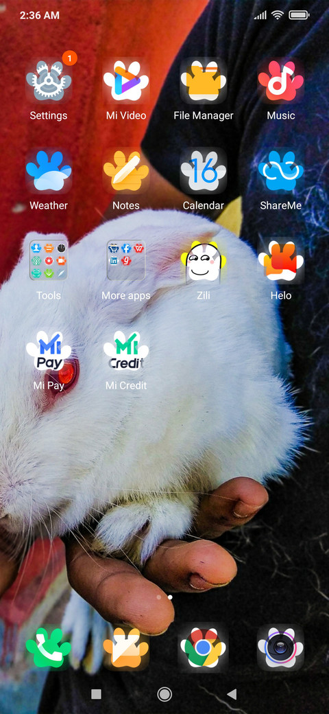 Rabit_DWM2 screenshot