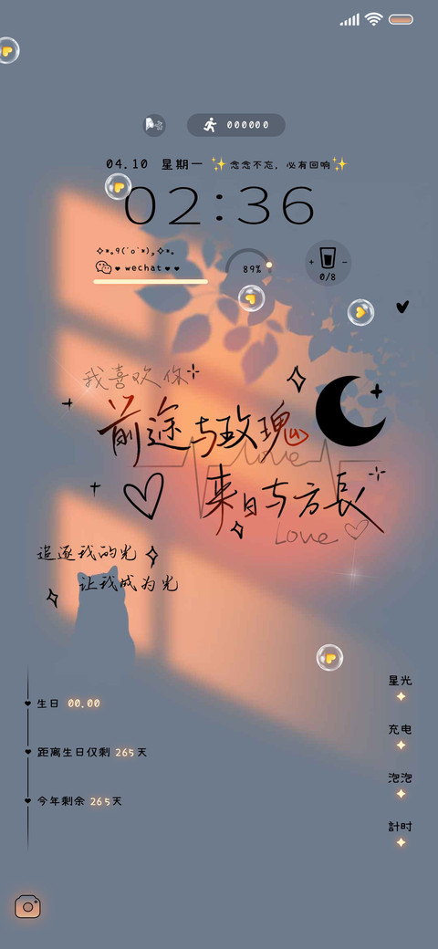 光影文字前途与玫瑰 screenshot