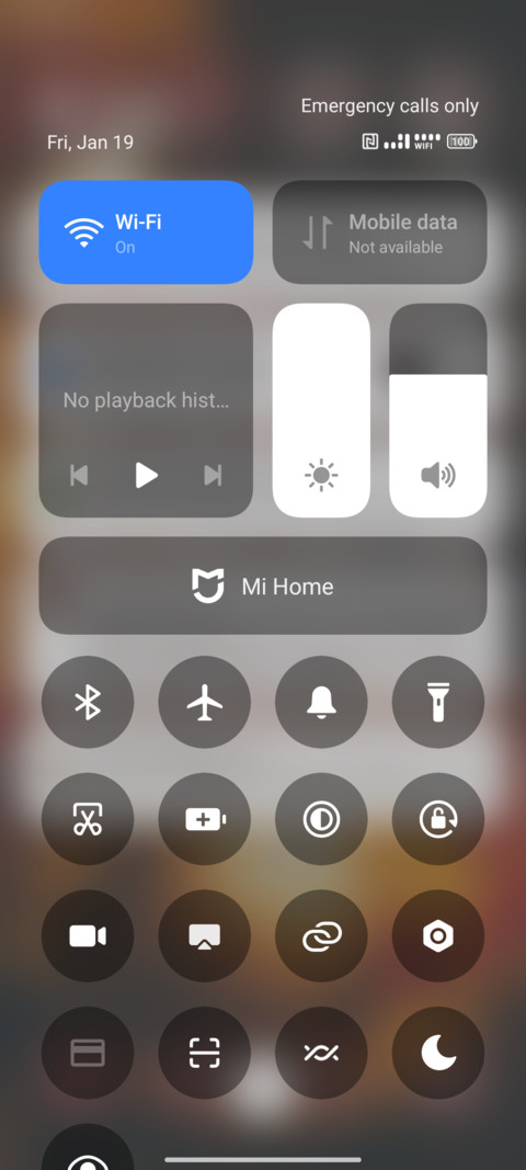 Diwali Bloom screenshot