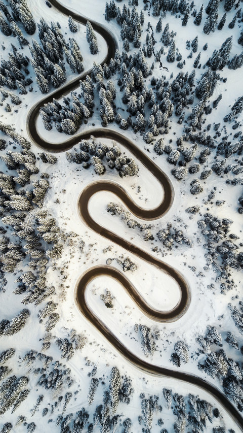 Winding Road in Forest screenshot