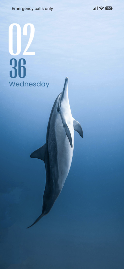 Dolphin screenshot