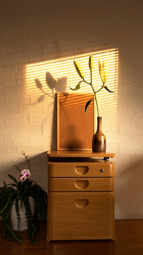 Home interior with picture frames and potted plants screenshot
