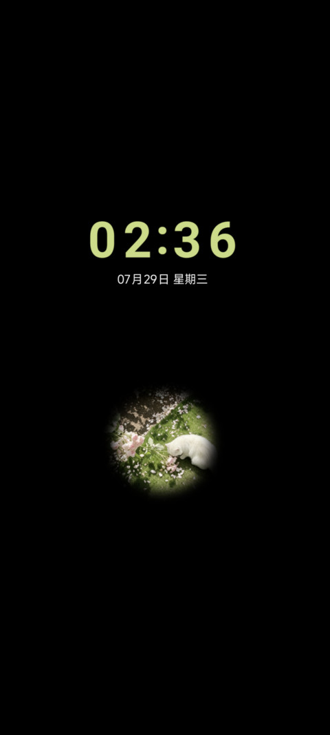 春野有猫 繁花为伴 screenshot