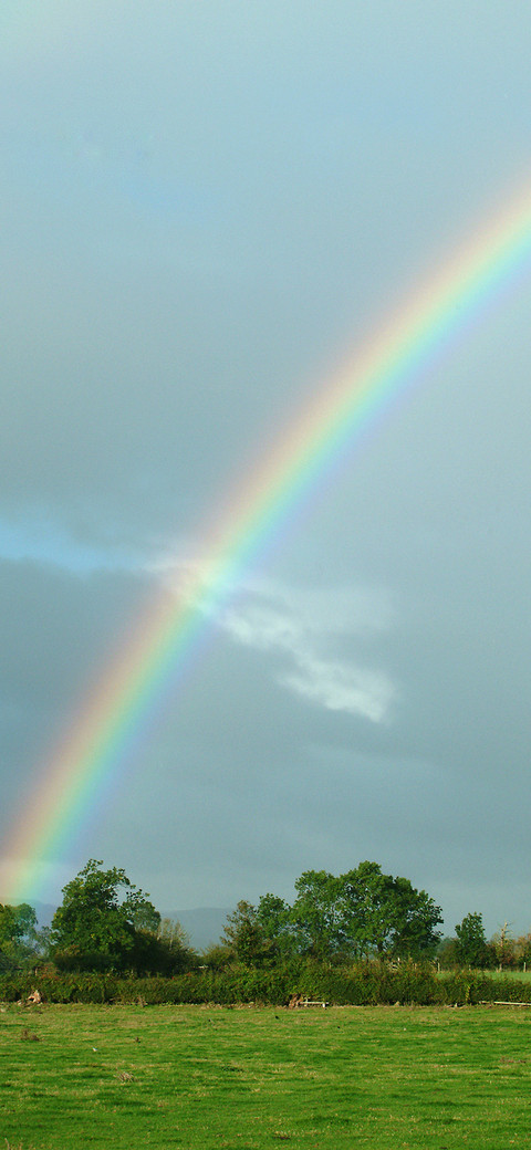 The Rainbow after the rain-PAIXIN screenshot