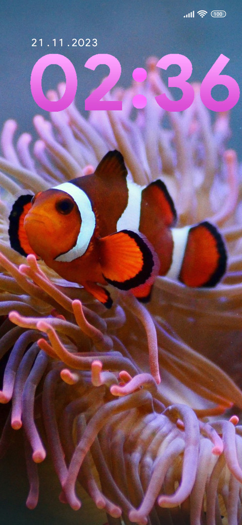 water clownfish screenshot