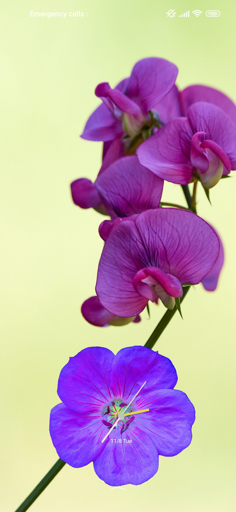 Love flower trance screenshot