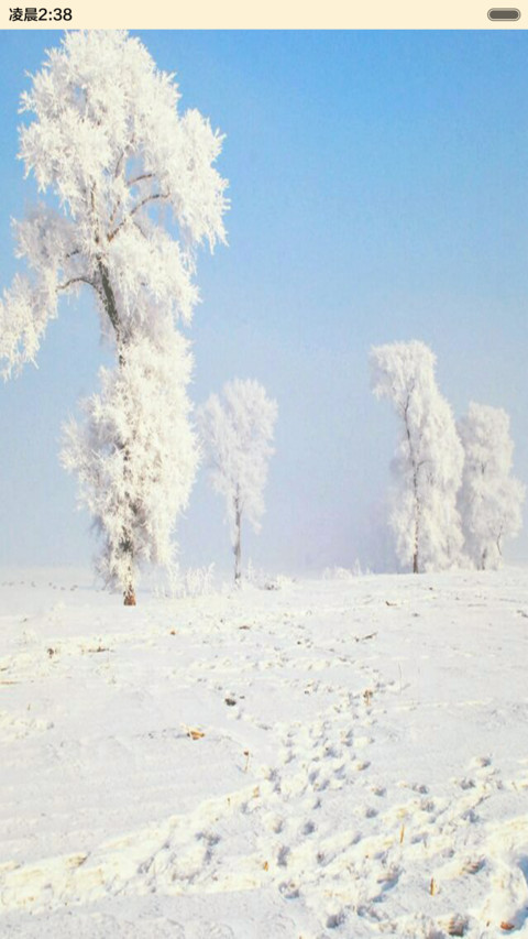 雪景 screenshot