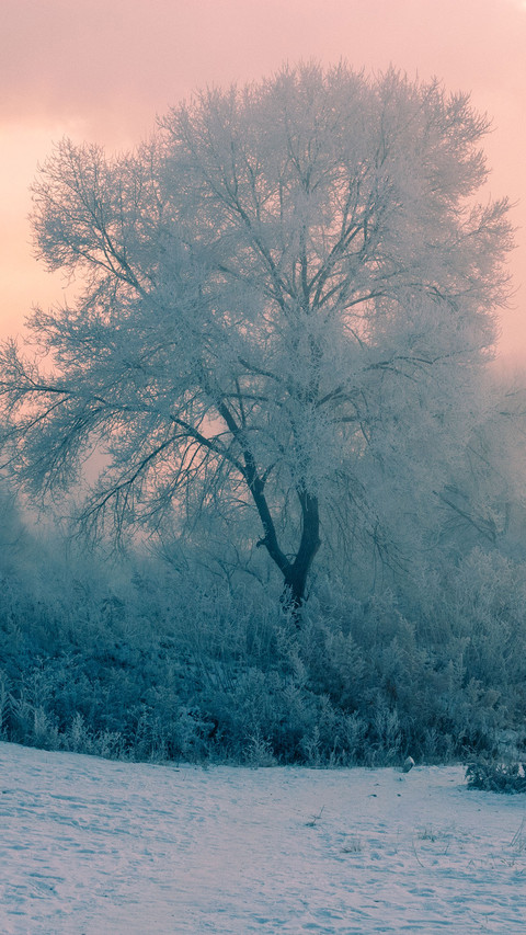 Rime ice by the riverside screenshot