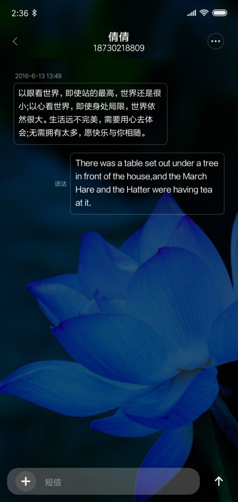 夏夜蓝莲花 screenshot