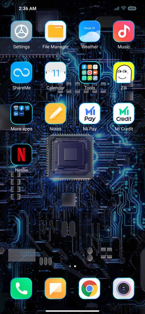Dark chip screenshot