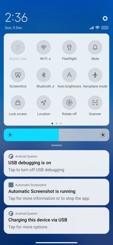 Skyline Duo screenshot