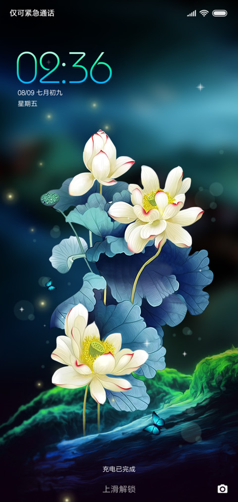 护眼主题静夜梦荷 screenshot