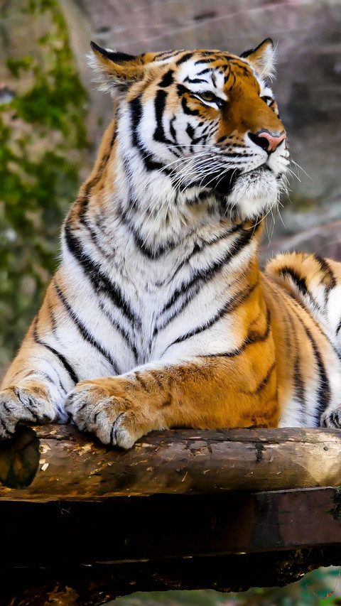 112424_1440x2560.jpg screenshot