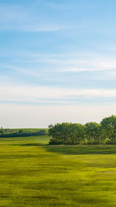 American central farms screenshot