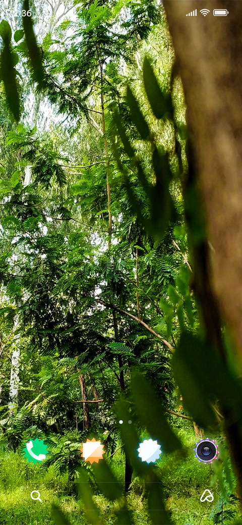 Forest Flora_DWM2 screenshot