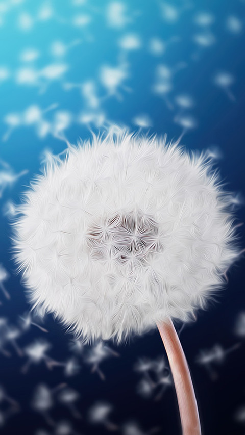 Dandelion (5) screenshot