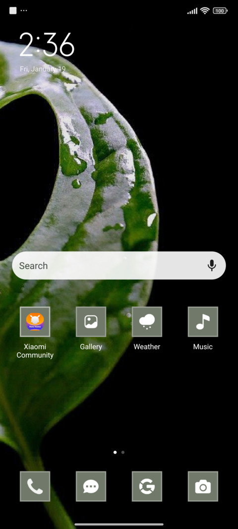 Leaf screenshot