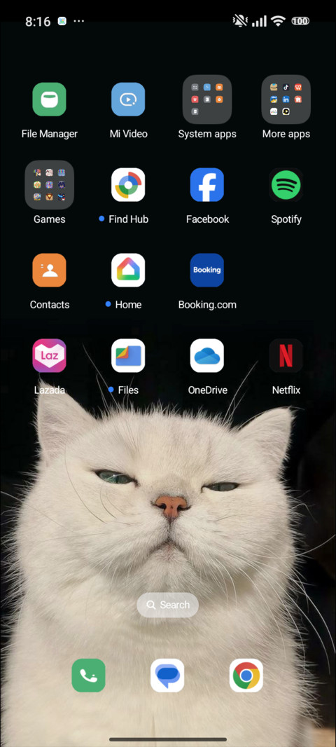 Cat screenshot