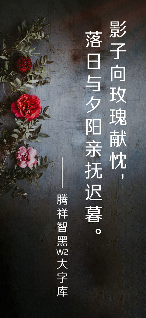 腾祥智黑W2大字库 screenshot