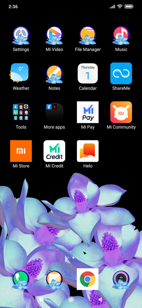 Flolola_DWM20 screenshot