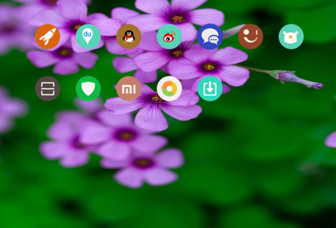 美丽的花朵 screenshot