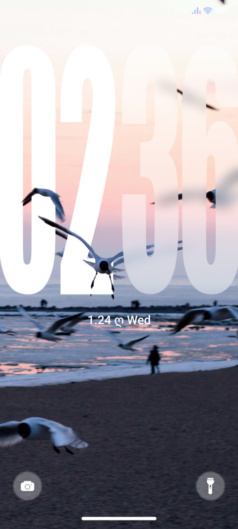 Seagull screenshot