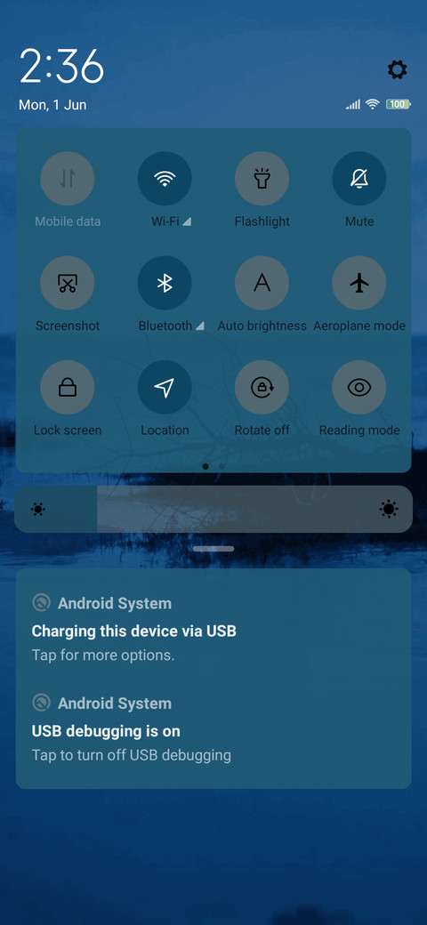 Sea  Lone Branches screenshot