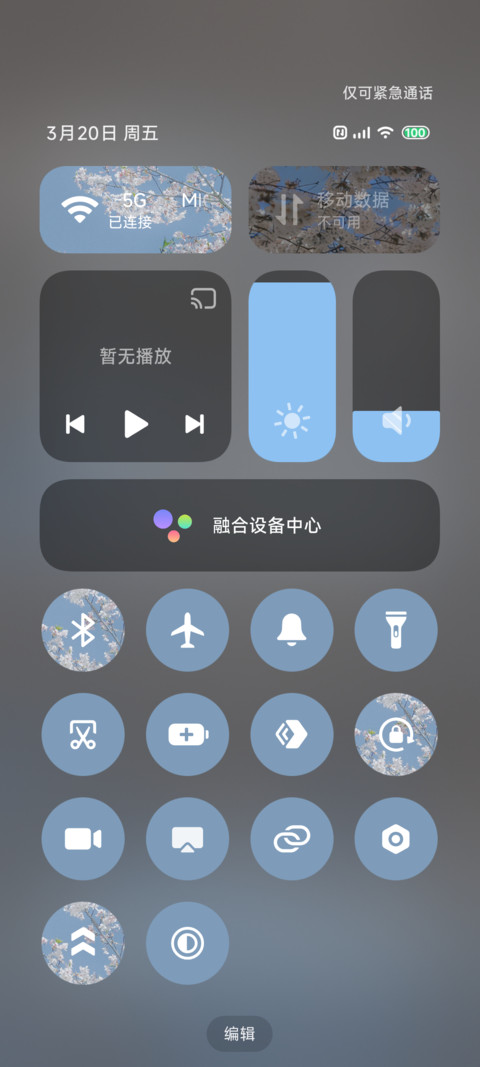 樱花树下 风也温柔 screenshot
