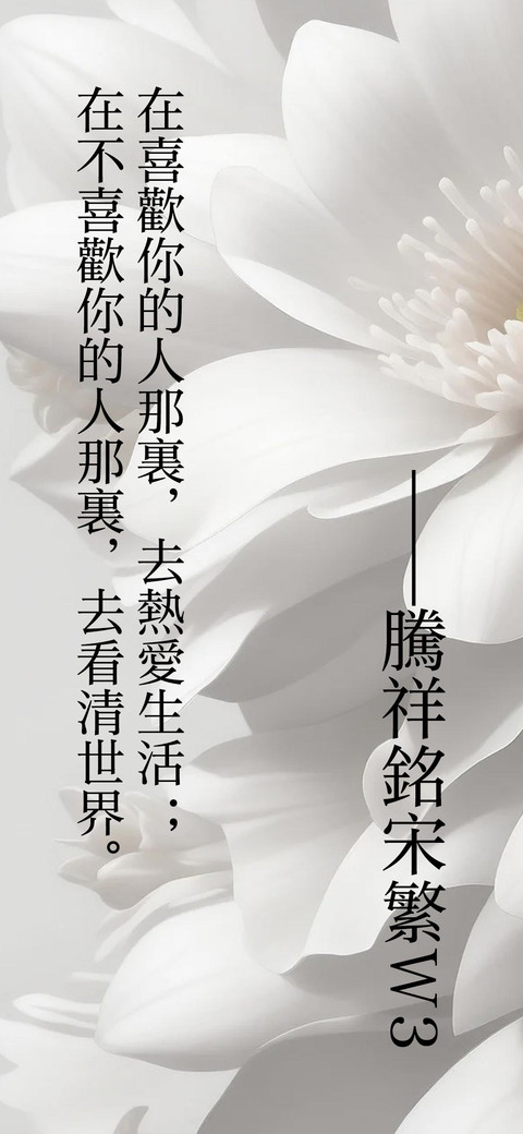 腾祥铭宋繁W3 screenshot