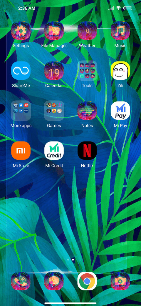 Tropical D Frame screenshot