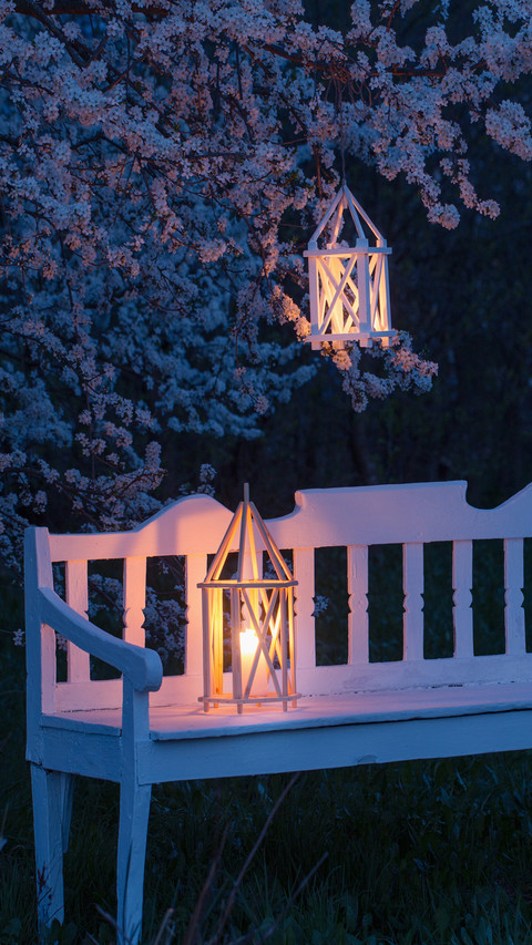 Lantern with Burning Candle on Spring Cherry Tree screenshot