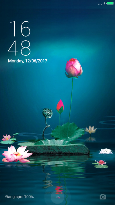 Hồng Liên Hoa V2 screenshot